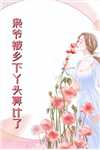 小雨音迹已完结版