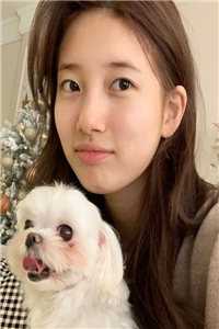 缱绻岁月知不知目录