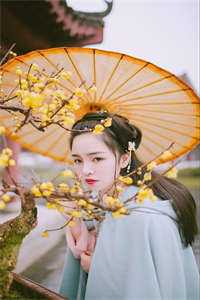 偏心的老婆精彩