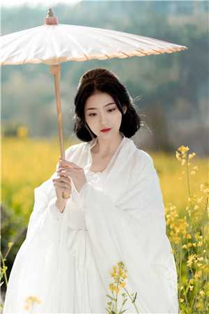 许你一场流星愿短篇小说阅读