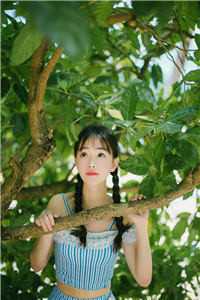 半帘月色醉浮生免费