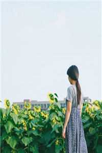 妹妹赐福我考上高校后，我落榜了小说免费阅读全文