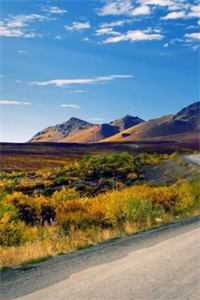 第九次民政局失约，我闪婚前任死对头全本小说推荐