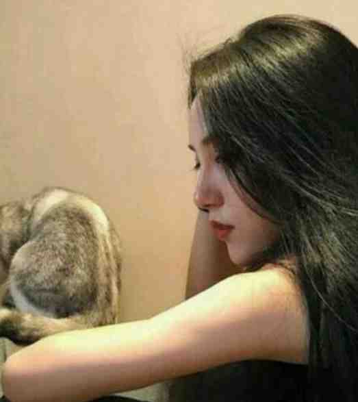 弦断情难再续在线阅读全本阅读